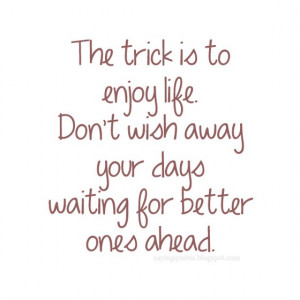 The Trick Enjoy Life Dont