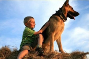 This just goes to show once more how stupid vegetarians are in general ...