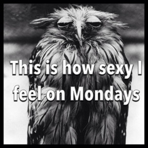 Sexy and I know it. :) Darn Mondays...