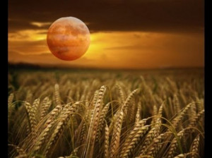 the full moon nearest the autumnal equinox is called the harvest moon ...