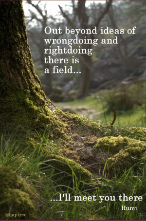 ... wrongdoing and rightdoing there is a field, I'll meet you there - Rumi