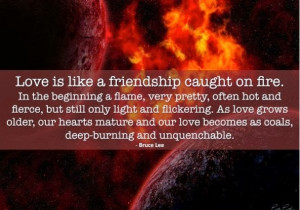 Love is like a friendship caught on fire. In the beginning....