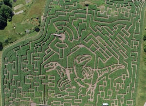 Behold, the Country’s Scariest Corn Maze