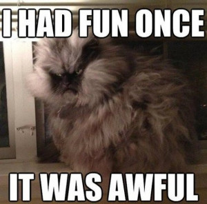funny, funny pictures, funny photos, cat, funny cats, 18 Reasons Why ...