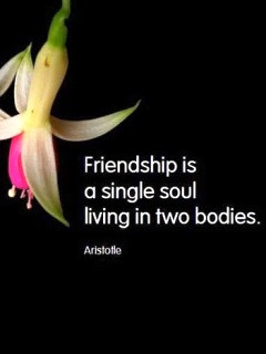 Friendship quotes Wallpapers