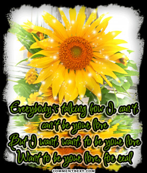 Flower Comments And Graphics