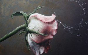 ... Rose Still Life wallpapers | Painting Rose Still Life stock photos