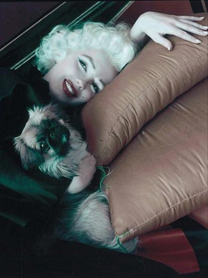 marilyn monroe with her dog