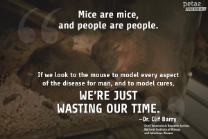 ... , and doctors explain exactly why animal testing is a waste of time