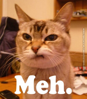 October 29, 2013 Funny Cat Pictures No Comments