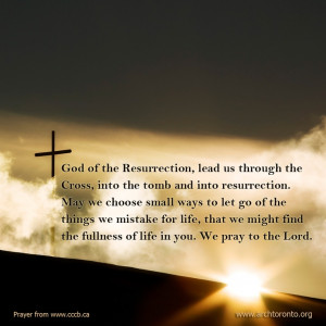 Prayer for the Fourth Sunday of Easter