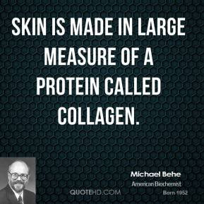 ... Behe - Skin is made in large measure of a protein called collagen