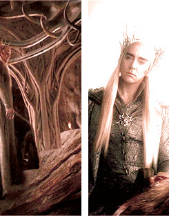 my gifs quotes the hobbit my post an unexpected journey Lee Pace dos ...