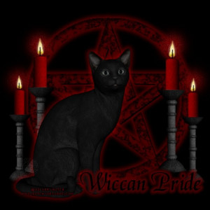 the cat of the wiccan circle