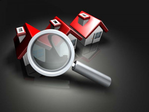 Conveyancing Searches