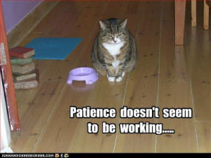 The Ups and Downs of Drafting