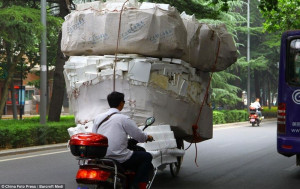 Funny Logistics in China (10 pictures)