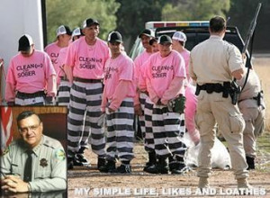 My favorite Sheriff Joe quote when he told all the inmates who were ...