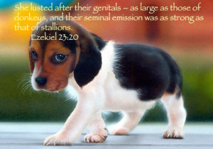 cute quotes about animals bible quotes cute animals