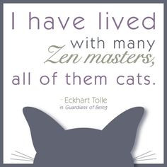 eckhart tolle quote zen master cats more quotes zen google search cats ...