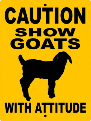 SHOW GOAT Sign 9