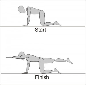 and Quadruped while laying prone (emphasizes the end of the ROM)