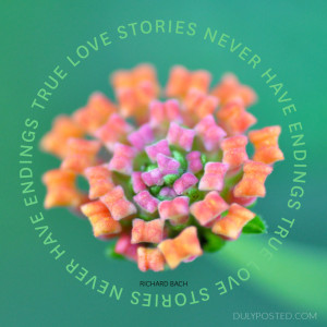 dulyposted_love-stories_quote.jpg