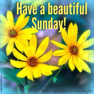 Have A Beautiful Sunday Pictures, Photos, and Images for Facebook ...