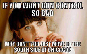 you want gun control so bad why dont you just move to the south side ...