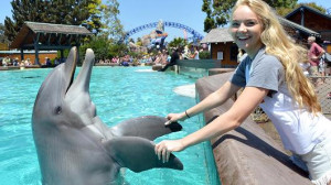 Danielle Bradbery meets a bottlenose dolphin during a visit to ...