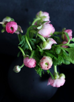 Uploaded to Pinterest