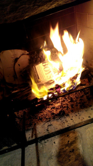 woman burning copies of Dr Hoff Sommers s book The War Against Boys