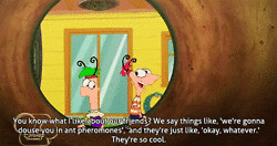 Disney Channel phineas and ferb timeskip ferbnessa It finally happened ...