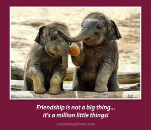 cute-elephant-friends