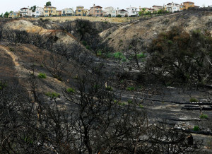 ... rain beginning to fall on recent burn areas in Carlsbad, California