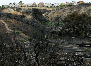 ... rain beginning to fall on recent burn areas in Carlsbad, California