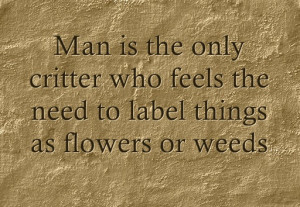 Quotes for the Herb Witch - Man is the only critter