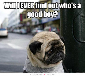 Will ever find out who's a good boy? Picture Quote #1