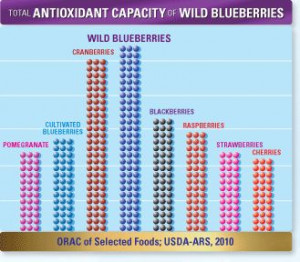 Wild Blueberries and antioxidants|Craving Something Healthy #sponsored ...