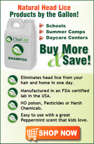 Head Lice Treatment Products