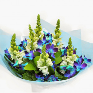 Quotes For Sympathy Urban Flower How To Write Condolence Message ...