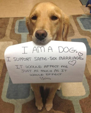 ... Marriage for EVERYONE: Funny Gay Marriage Signs, Quotes and Cartoons