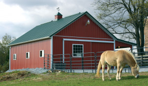 Horse Barn Buildings