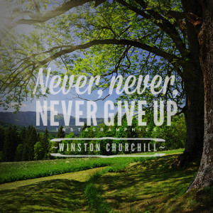 yourself with this Never Never Never Give Up Winston Churchill Quote ...