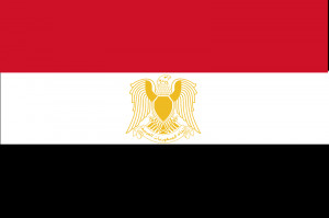 Egypt Flag Picture ( 800 x 533 pixels)