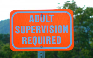 Requires Adult Supervision Google Themes