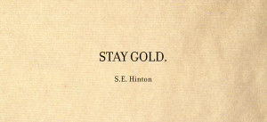 Quotes by S E Hinton