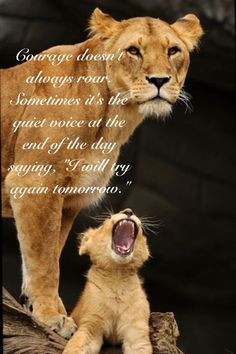 Lioness Quotes Women Courage More