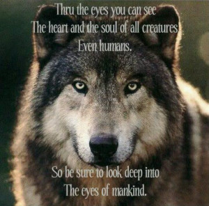 Cani Lupus, Beautiful Animal, Beautiful Wolf, Blue Eye, Wolf Pictures ...