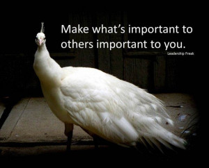 On getting aheadBad Boss, White Peacocks, Messages, Leadership Quotes